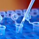Indian state Andhra Pradesh’s DNA database could catch some flack.